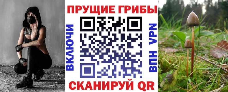 продажа наркотиков  Боровичи  Псилоцибиновые грибы мицелий 