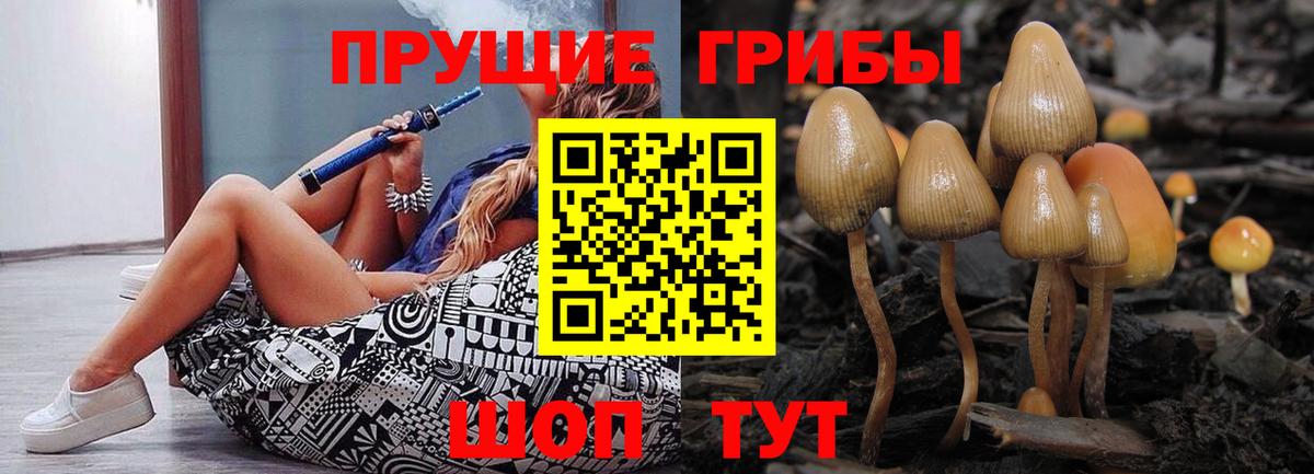 Псилоцибиновые грибы прущие грибы Боровичи