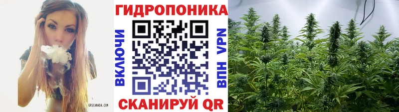 кракен как зайти  Боровичи  Канабис Bruce Banner  как найти наркотики 